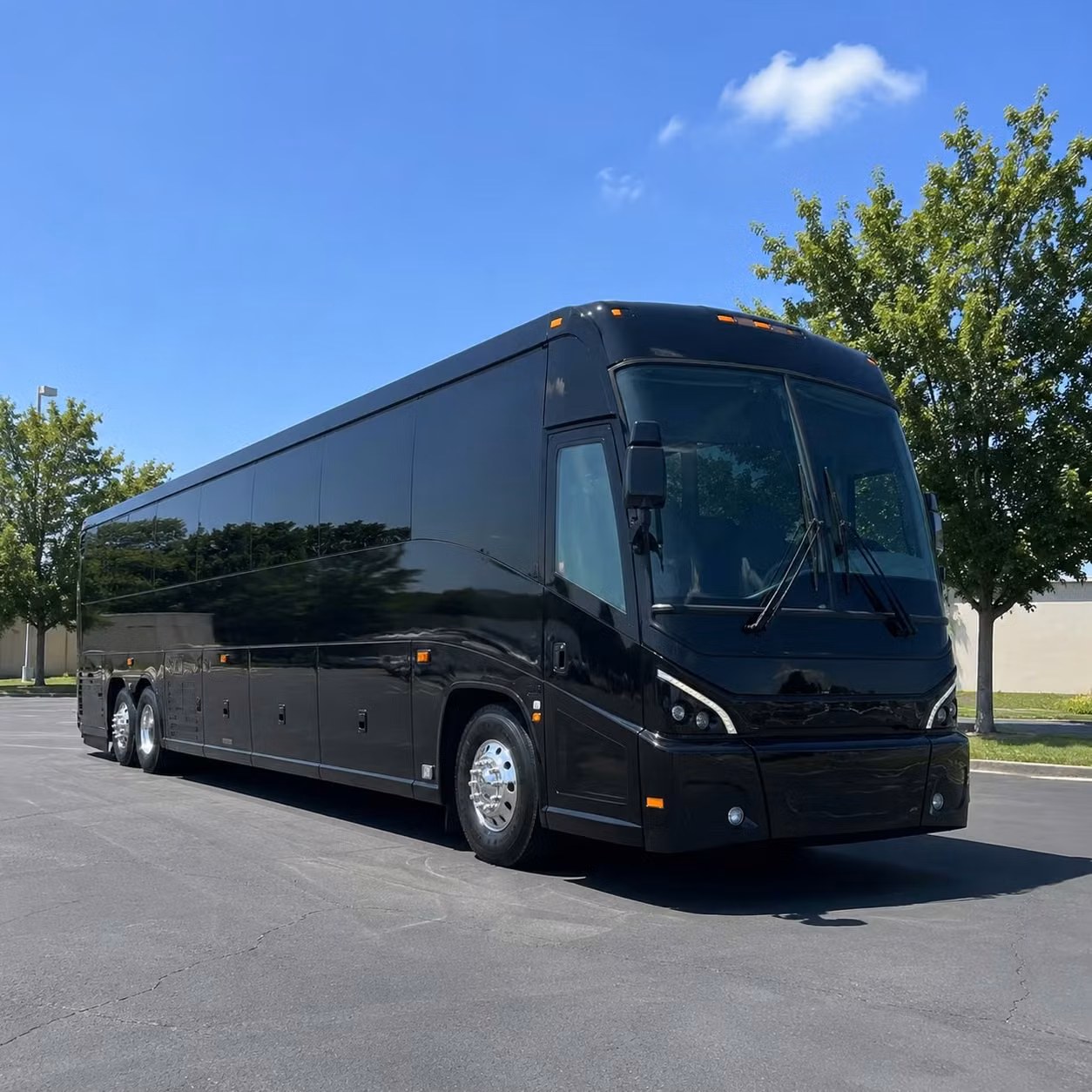 56 passenger charter bus